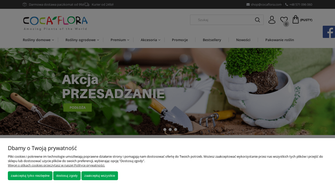 Sklep z roślinami CocaFlora cover